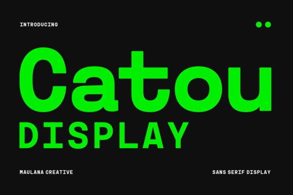 Upgrade Your Brand with the Catou Display Font